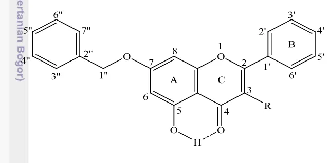Gambar 9  Kerangka struktur 4'-benziloksi-5'-hidroksiflavon (R = H) dan 4'-