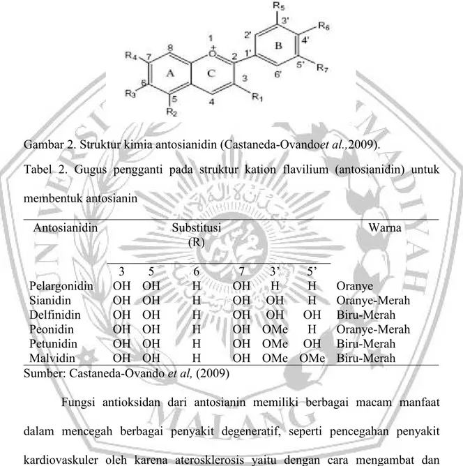 Gambar 2. Struktur kimia antosianidin (Castaneda-Ovandoet al.,2009).