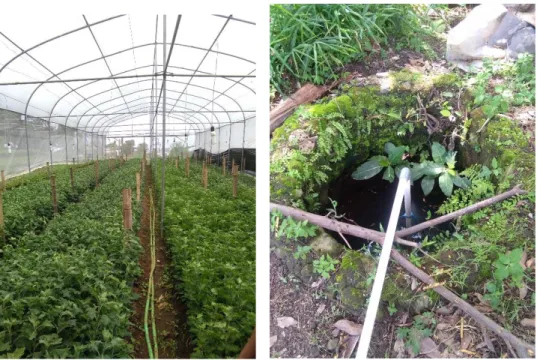 Gambar 4.2 Greenhouse  Gambar 4.3 Sumber Air Pertanian  2.  Instruktur Pertanian  