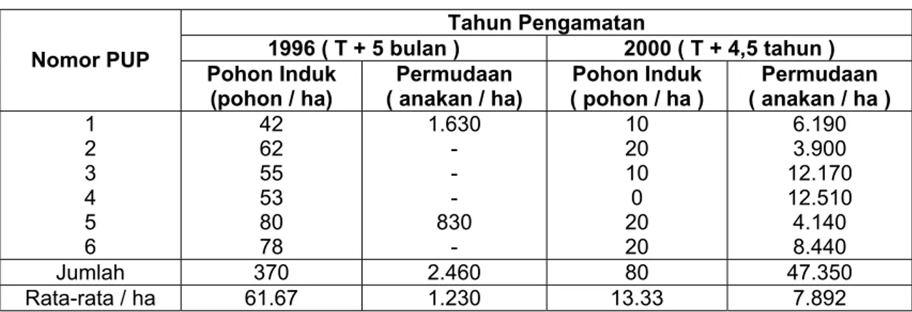 Tabel 4 Hasil pembuatan / pengukuran Petak Ukur Permanen (PUP) pada areal bekas tebangan hutan  mangrove tahun 1996 di areal HPH  Inhutani II (eks HPH PT