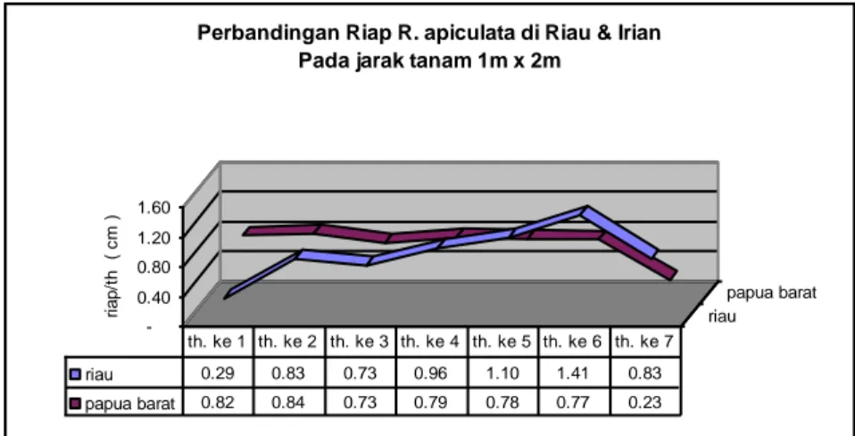 Gambar 11. Perbandingan riap R. apiculata di Riau dan papua Barat                                      ( d/h Irian) pada jarak tanam 1m x 2m 