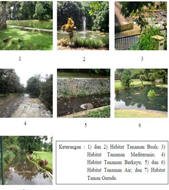Gambar 8 Sumber air di masing-masing tipe habitat. 