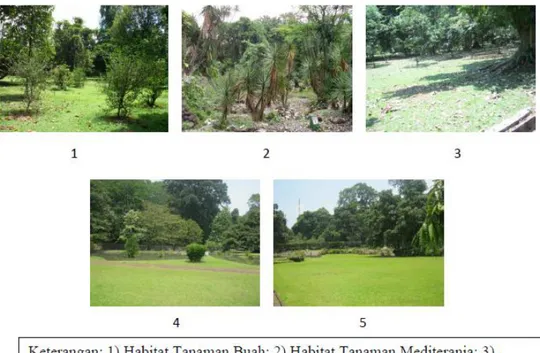 Gambar 9 Keberadaan daerah terbuka di masing-masing tipe habitat. 