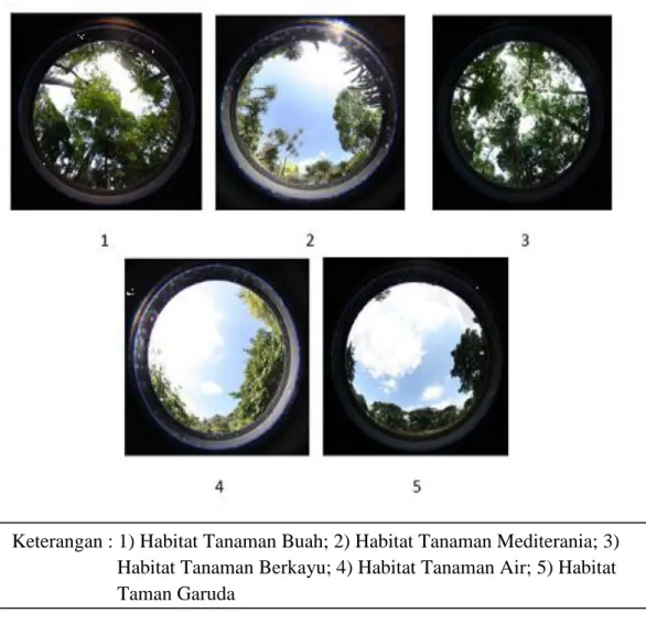 Gambar 10 Gambar kerapatan tajuk pada masing-masing lokasi penelitian dengan  menggunakan kamera berlensa fisheye