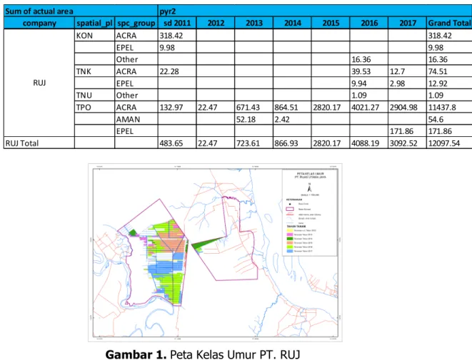 Tabel 9. Data Kelas Umur Tanaman PT. RUJ 