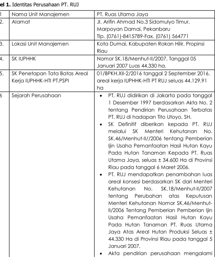 Tabel 1. Identitas Perusahaan PT. RUJ 