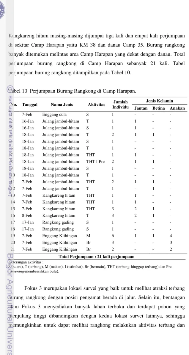 Tabel 10  Perjumpaan Burung Rangkong di Camp Harapan. 