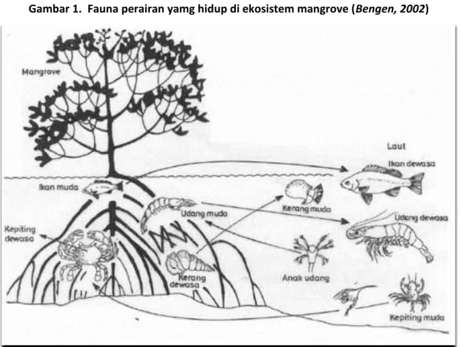 Gambar 1.  Fauna perairan yamg hidup di ekosistem mangrove (Bengen, 2002)