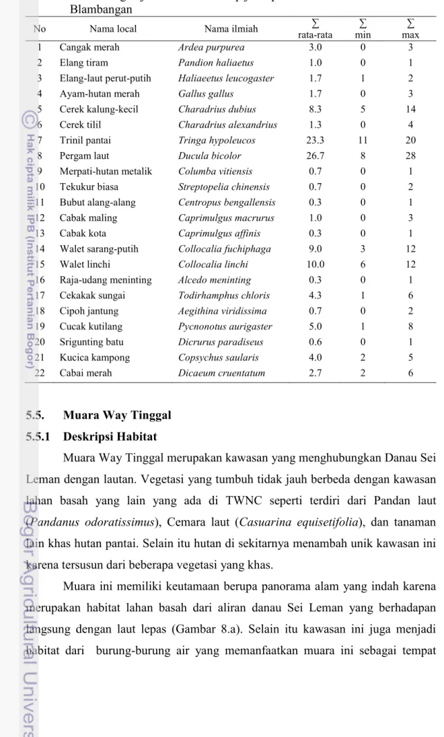 Tabel 4.  Perbandingan jumlah individu tiap jenis per hari di habitat Muara  Blambangan 