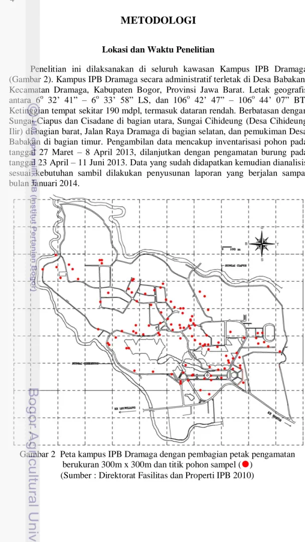 Gambar 2  Peta kampus IPB Dramaga dengan pembagian petak pengamatan  berukuran 300m x 300m dan titik pohon sampel ()  