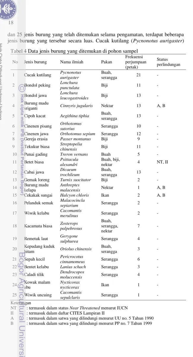 Tabel 4 Data jenis burung yang ditemukan di pohon sampel 