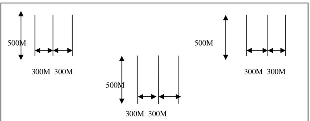 Gambar 1. Contoh peletakan jalur pengamatan (Examples of observation the laying of track)