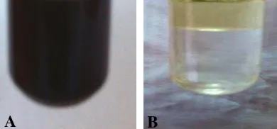 Tabel 1  Hasil uji fitokimia ekstrak kasar metanol dan flavonoid daun tin 