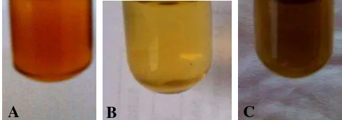 Tabel 2  Hasil uji kualitatif golongan flavonoid dalam fraksi etil asetat daun tin 