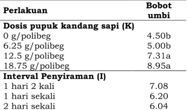 Tabel  3.  Bobot  umbi  (g)  bawang  merah  dengan  perlakuan  dosis  pupuk  kendang  sapi dan interval penyiraman secara mandiri  
