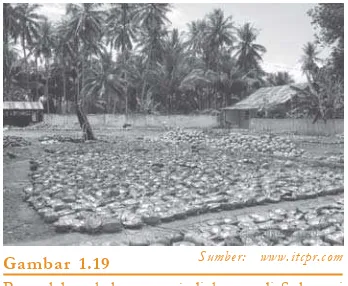 Gambar 1.19Sumber: www.itcpr.comkecenderungan menempatkan pabriknya diPengolahan kelapa menjadi kopra di Sulawesidaerah bahan mentah