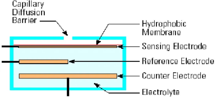 Gambar 2.3 Susunan sensor elektrokimia (Anonymous(a), 2008). 
