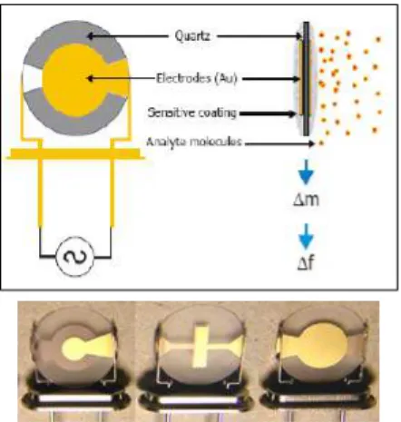 Gambar 2. Quartz Crystal Microbalance  Pada penelitian ini, deret sensor gas Quartz  Crystal Microbalance (QCM) dilapisi dengan  membran kimia yang berbeda