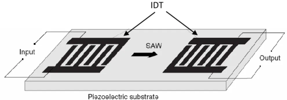 Gambar 1.Struktur skematik sensor SAW (Jouni V. K. 2005)  Sensor  yang  berbasis  SAW  yang 