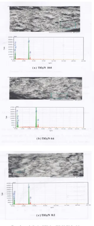 Gambar 4. Pola SEM – EDX TiO 2 /N 