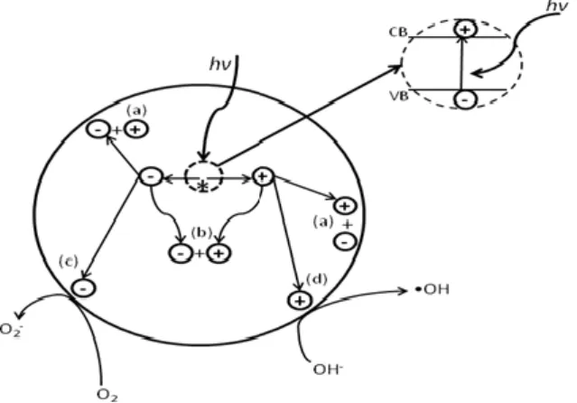 Gambar 1. Skema fotokatalitik (Macias, 2003) 