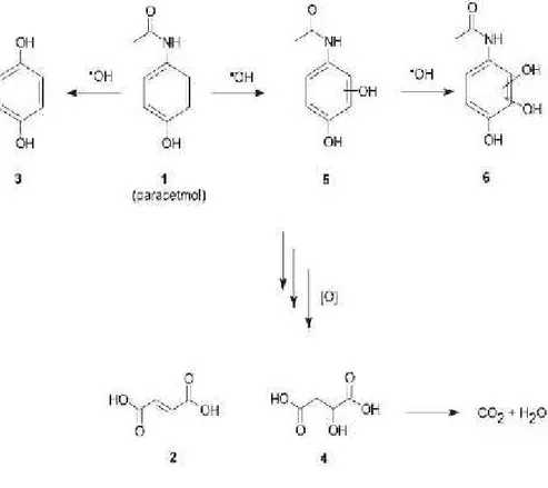 Gambar 7. Skema proses reaksi utama degradasi parasetamol (Dalmazio et al., 2008).