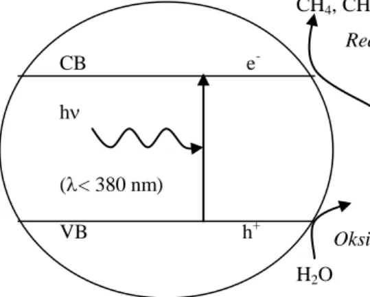 Gambar 7. Skema reaksi untuk fotoreduksi CO 2  dengan H 2 O dalam bulk TiO 2                    (Sciavello, 1997) 