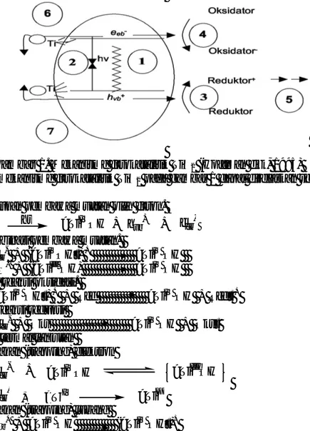Gambar 1. Mekanisme fotokatalitik TiO 2  (Hoffman dkk, 1995) 