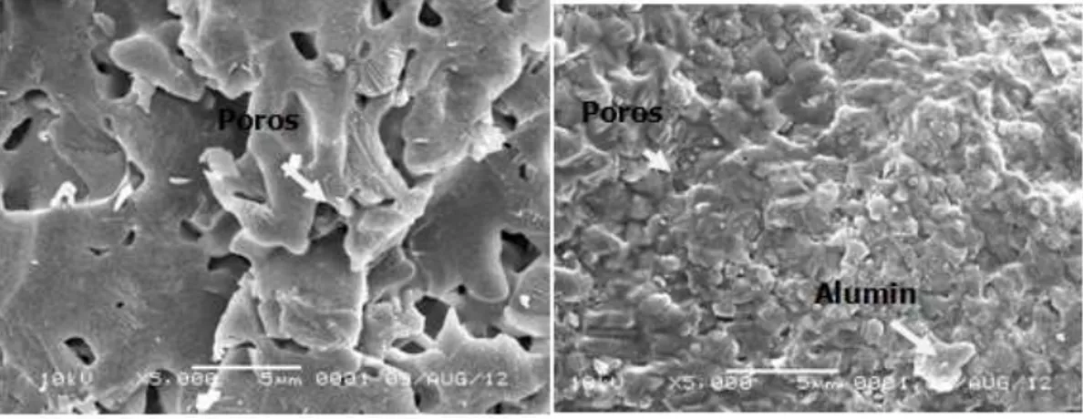 Gambar 5.  Foto mikro komposit clay alumina pembesaran 1000x                                  (pada saat pengambilan gambar) 