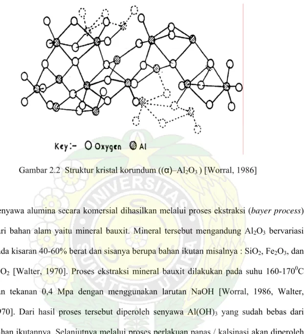 Gambar 2.2  Struktur kristal korundum ((α)–Al 2 O 3  ) [Worral, 1986] 