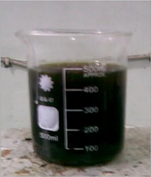 Gambar 4. Sol silika hasil ekstraksi (Rachmaini, 2010). 