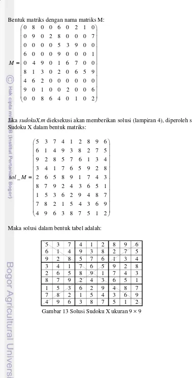 Gambar 13 Solusi Sudoku X ukuran 9 × 9 