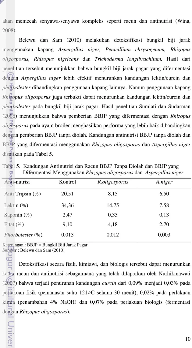 Tabel 5.  Kandungan Antinutrisi dan Racun BBJP Tanpa Diolah dan BBJP yang  Difermentasi Menggunakan Rhizopus oligosporus dan  Aspergillus niger 