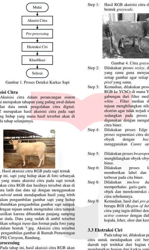 Gambar 1. Proses Deteksi Karkas Sapi 