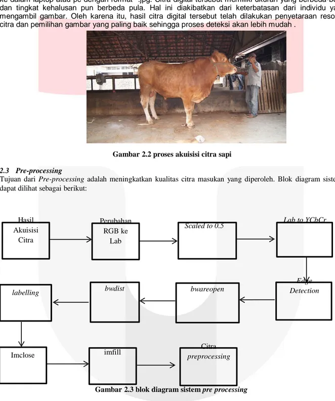 Gambar 2.2 proses akuisisi citra sapi 