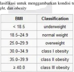 Gambar 1. Klasifikasi BMI 