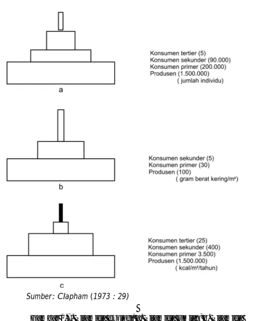 Gambar 1.7. Piramida ekologi: a. Piramida jumlah; b. Piramida  biomassa; c. Piramida energi