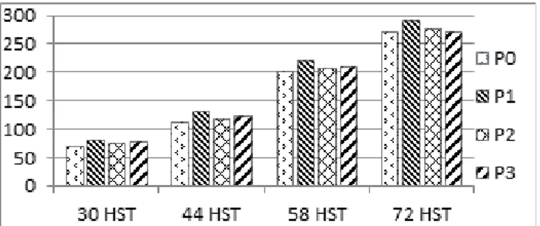 Gambar 3. Diagram pertambahan diameter batang tanaman sorgum yang diberi bakteri Bacillus  amyloliquefaciens dengan dosis pupuk fosfor berbedapada 30-72 HST