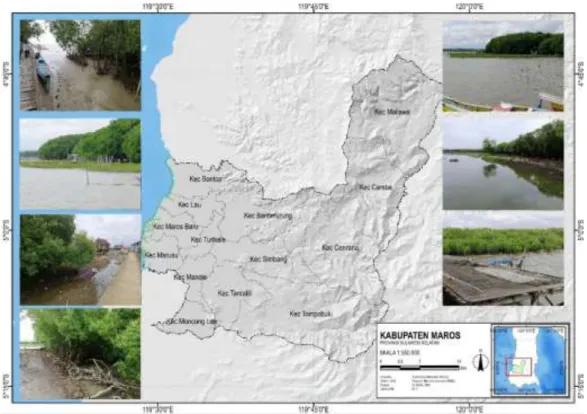 Gambar 1. Kondisi kawasan mangrove Kabupaten Maros