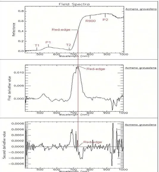 Gambar 2. Posisi dari puncak (P), lembah (T) dan red-edge inflection point (r-eip) pada plot pantulan  spektral vegetasi (Hartini, 2001) 