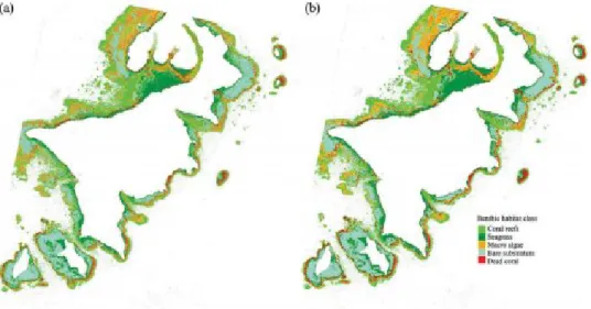 Figure 5. Map of benthic habitats obtained from (a) per-pixel CTA using MNF bands with 43.61%