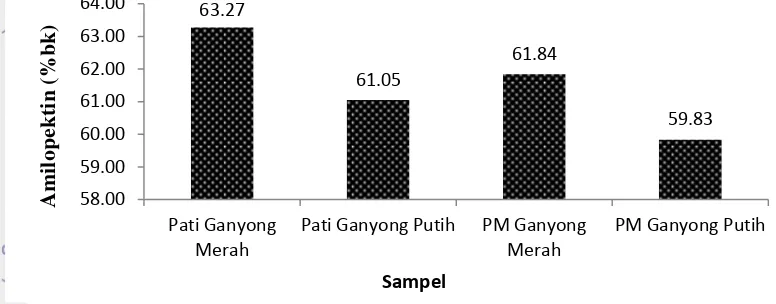 Gambar 4  Perbandingan kadar amilopektin pati ganyong dan pati ganyong 