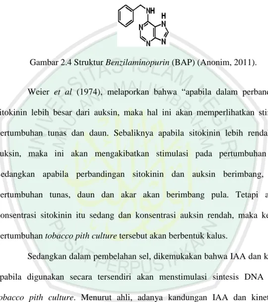 Gambar 2.4 Struktur Benzilaminopurin (BAP) (Anonim, 2011). 