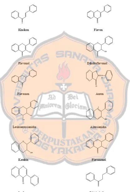 Gambar 3. Kerangka struktur golongan-golongan flavonoida (Robinson, 1995) 