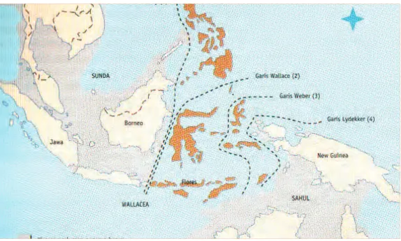Gambar 1.4 Peta Zoogeografi Kepulauan Indonesia