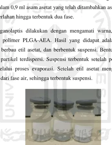 Gambar 4.1 Hasil nanopartikel polimer PLGA-AEA  4.2 Karakteristik Nanopartikel Polimer PLGA  4.2.1 Ukuran Globul 