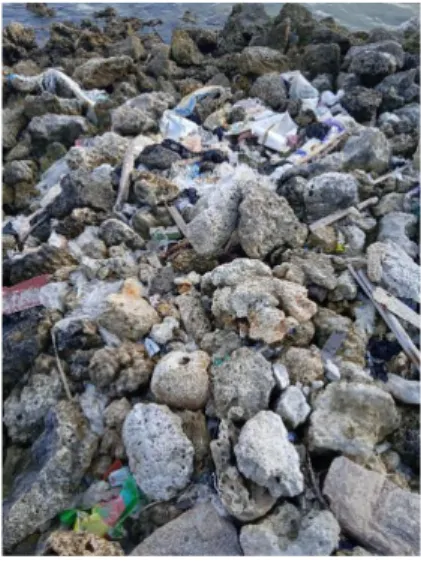 Gambar 3.3 Sampah di pesisir pantai dekat dermaga Pulau  Karimunjawa 