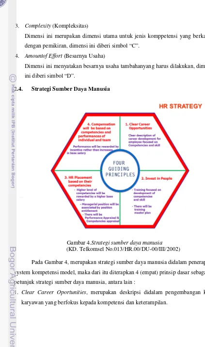 Gambar 4.Strategi sumber daya manusia 