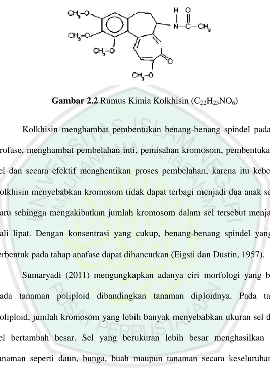 Gambar 2.2 Rumus Kimia Kolkhisin (C 22 H 25 NO 6 ) 