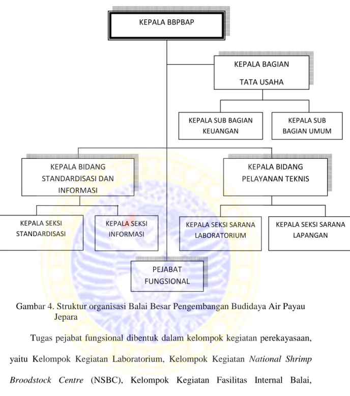 Gambar 4. Struktur organisasi Balai Besar Pengembangan Budidaya Air Payau  Jepara 